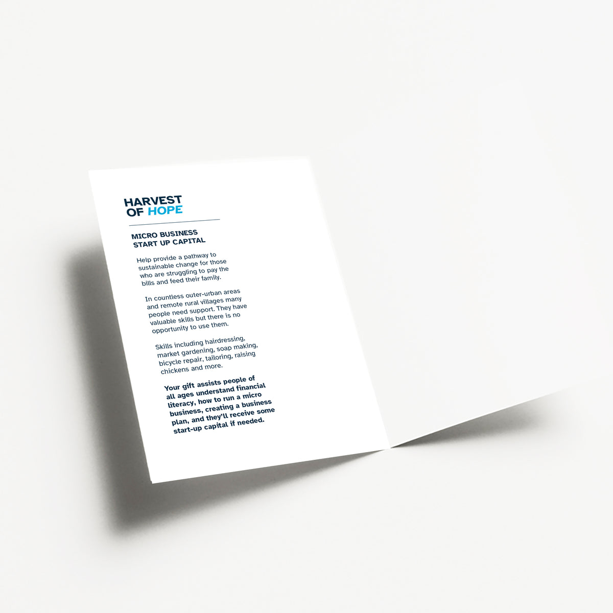 Micro Business Start Up Capital